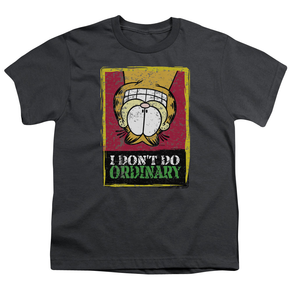 Garfield I Dont Do Ordinary Kids Youth T Shirt Charcoal