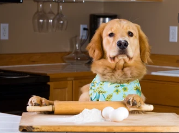 Macarons Organic Dog Treats