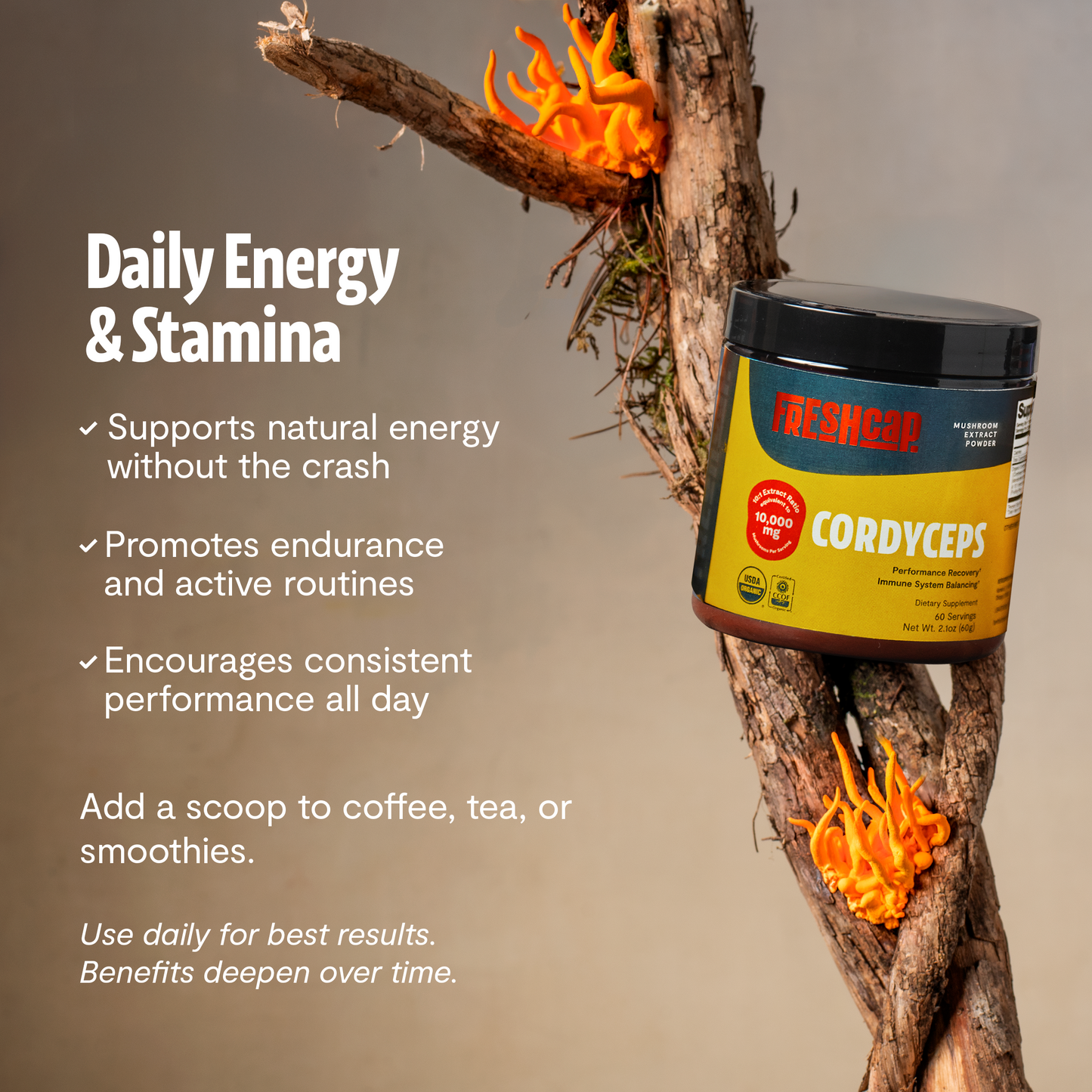 Cordyceps Mushroom Extract Powder - Triathlete Store