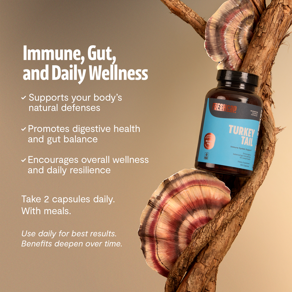 Turkey Tail Mushroom Extract Capsules - Triathlete Store