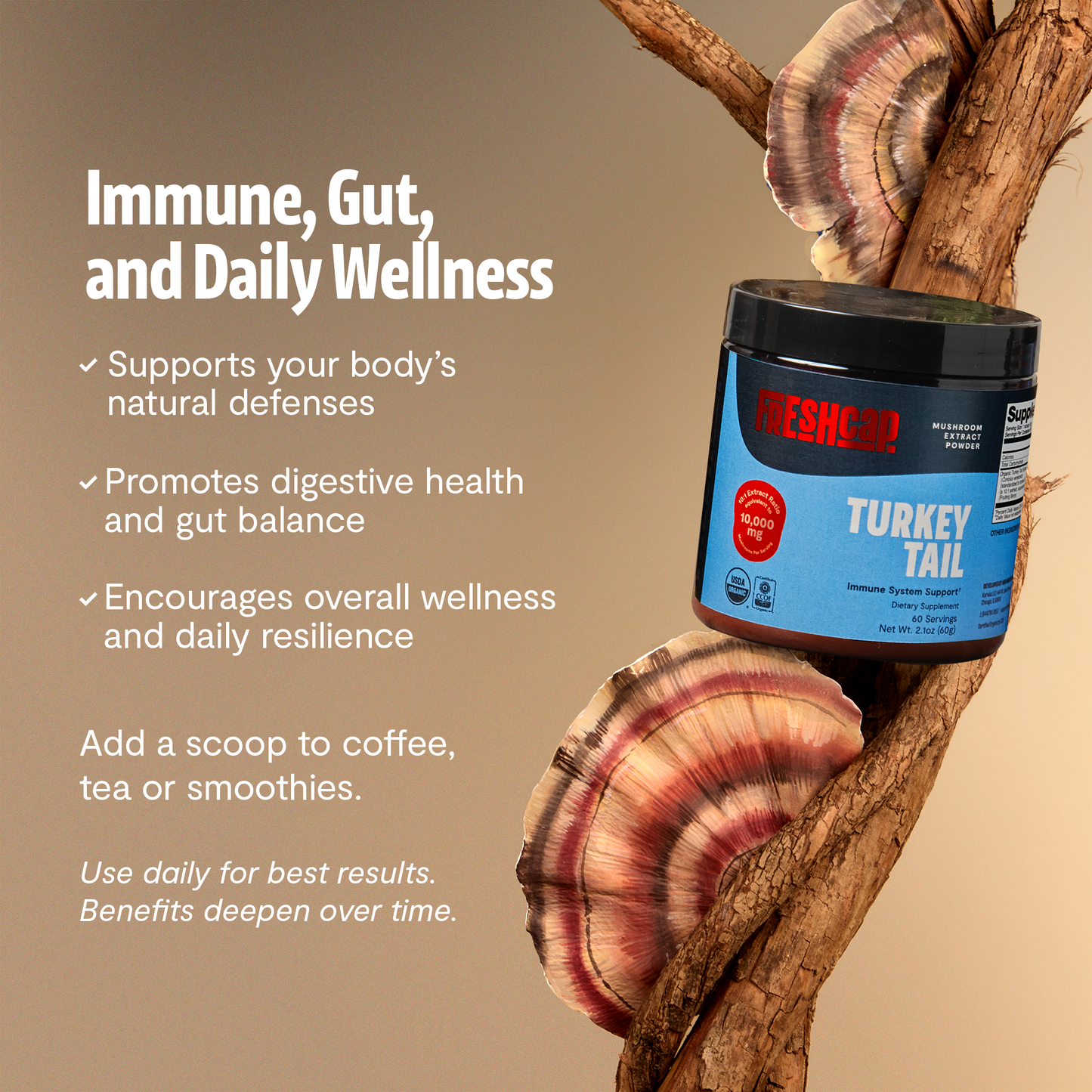 Turkey Tail Mushroom Extract Powder - Triathlete Store