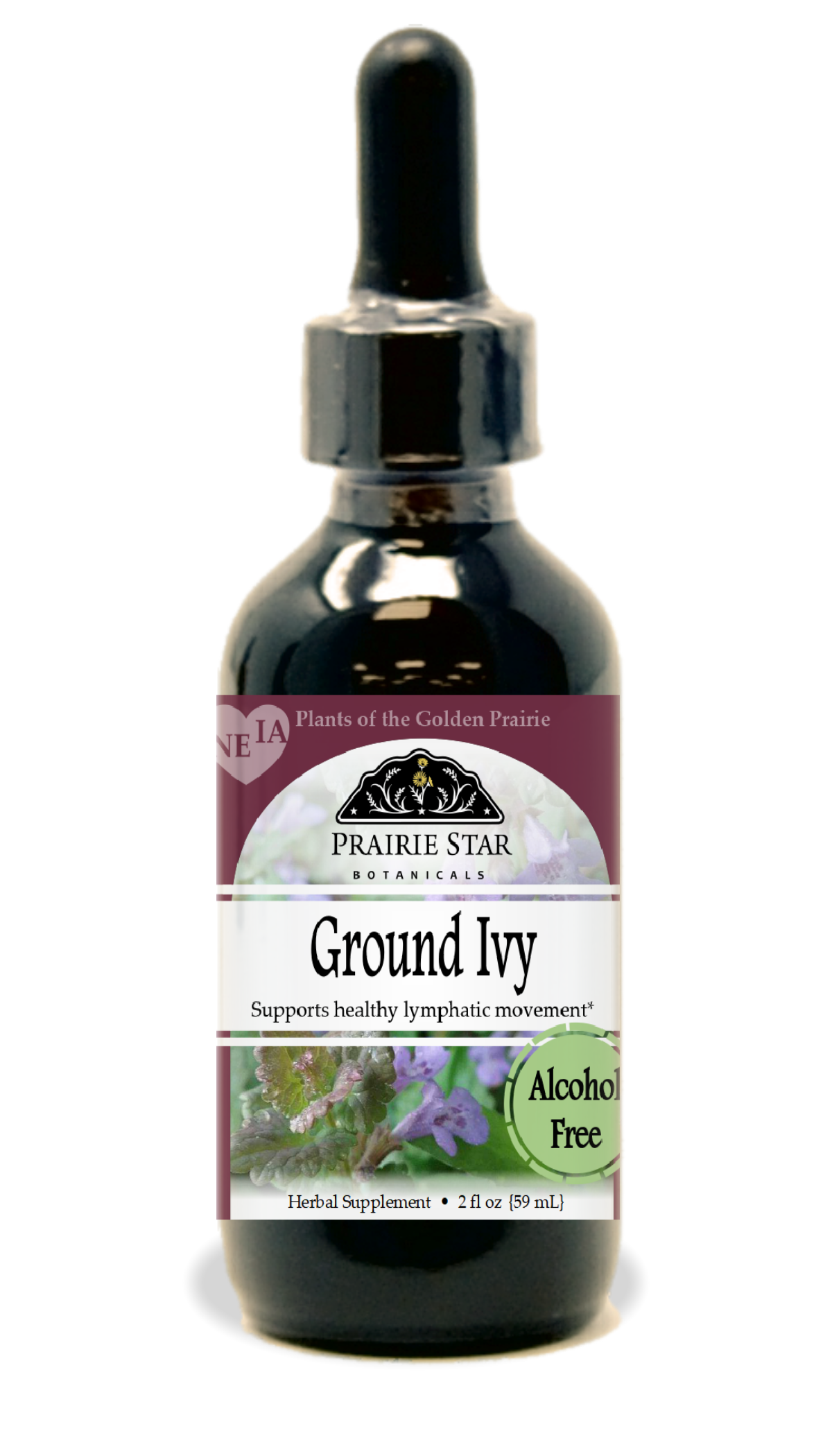 Ground Ivy