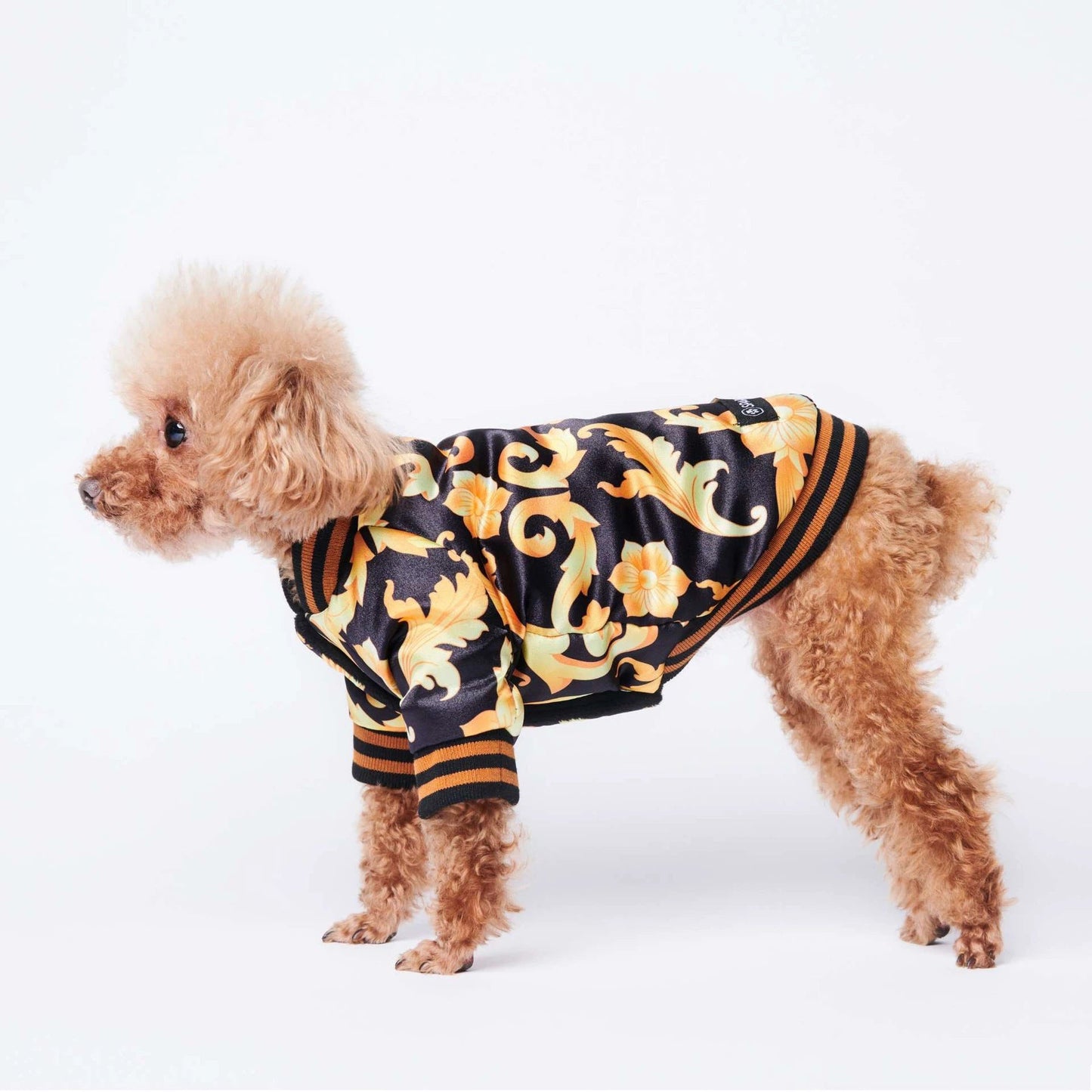 Luxury Bomber Jacket