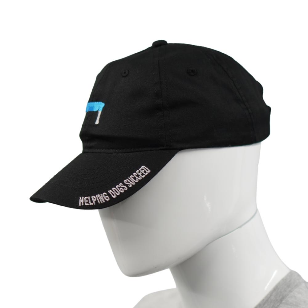 KLIMB Dad Hat