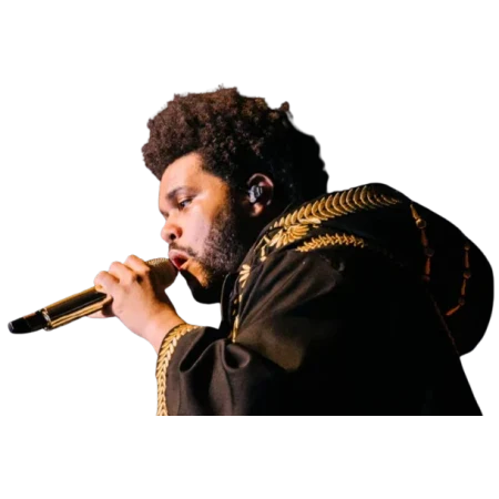 Hurry Up Tomorrow The Weeknd Golden Embroidered Hooded Coat