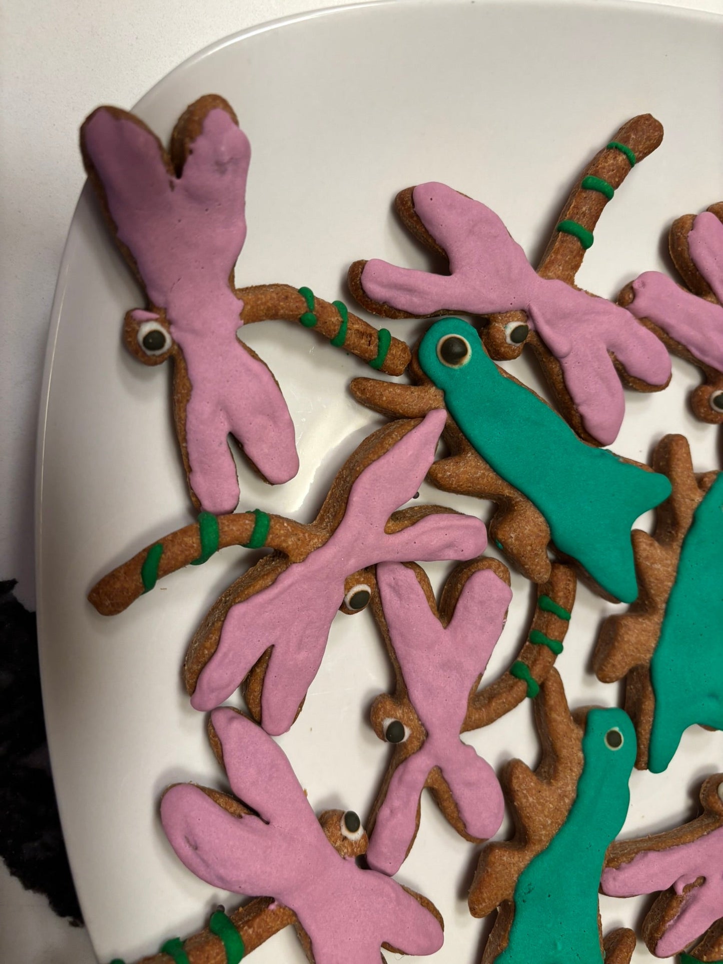 DRAGONFLY & GRASSHOPPER COOKIES