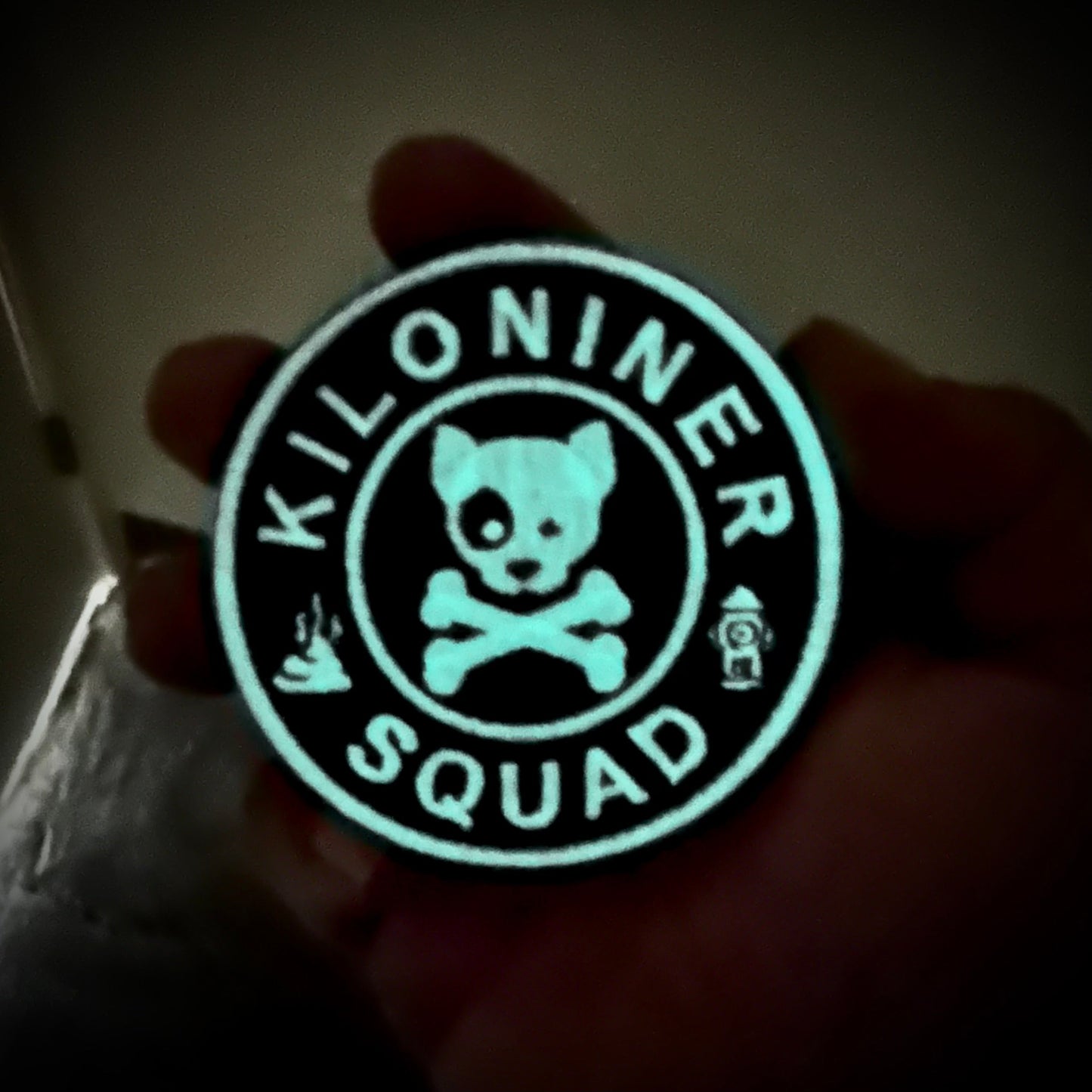 DOG & CROSSBONES Glow In The Dark Morale Patch
