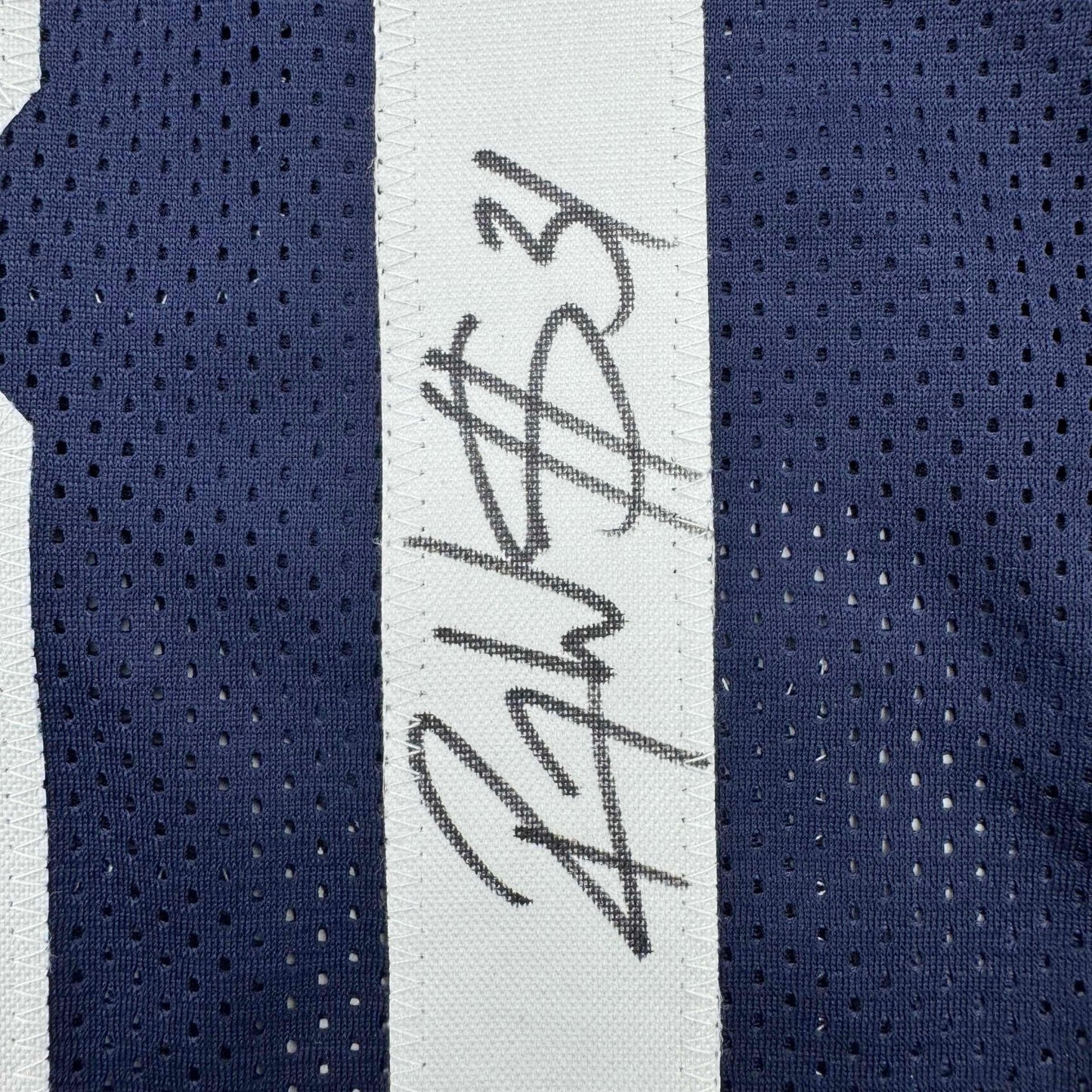 Framed Autographed/Signed Roy Williams 35x39 Dallas Thanksgiving Football Jersey JSA COA