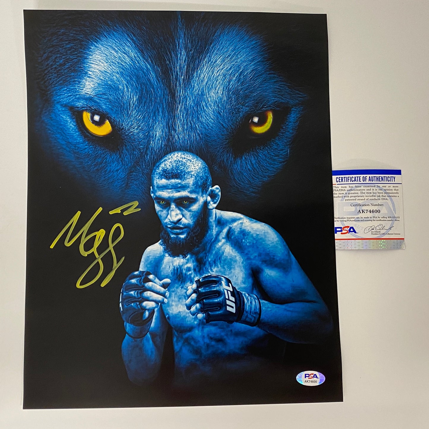 Autographed/Signed Khamzat Borz Chimaev UFC MMA Ultimate Fighting 11x14 Photo PSA/DNA COA #2