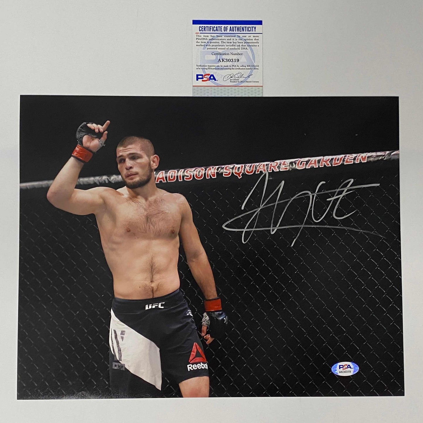 Autographed/Signed Khabib Nurmagomedov UFC MMA Ultimate Fighting 11x14 Photo PSA/DNA COA #4