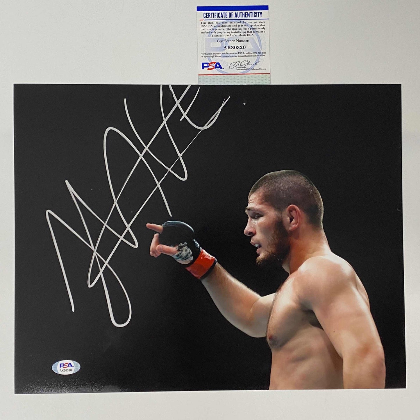 Autographed/Signed Khabib Nurmagomedov UFC MMA Ultimate Fighting 11x14 Photo PSA/DNA COA #3