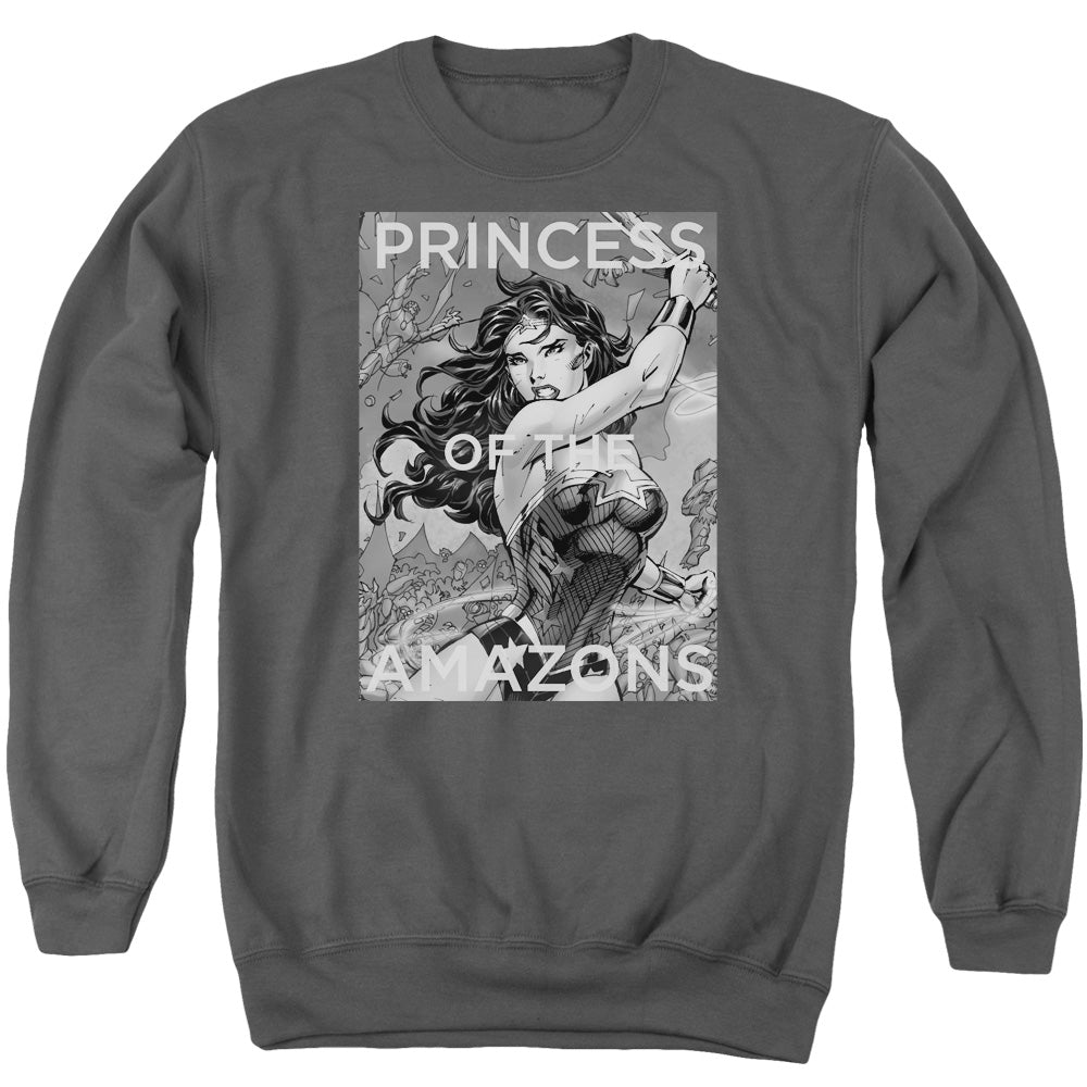 Justice League Of America Princess Of The Amazons Mens Crewneck Sweatshirt Charcoal Officially Licensed