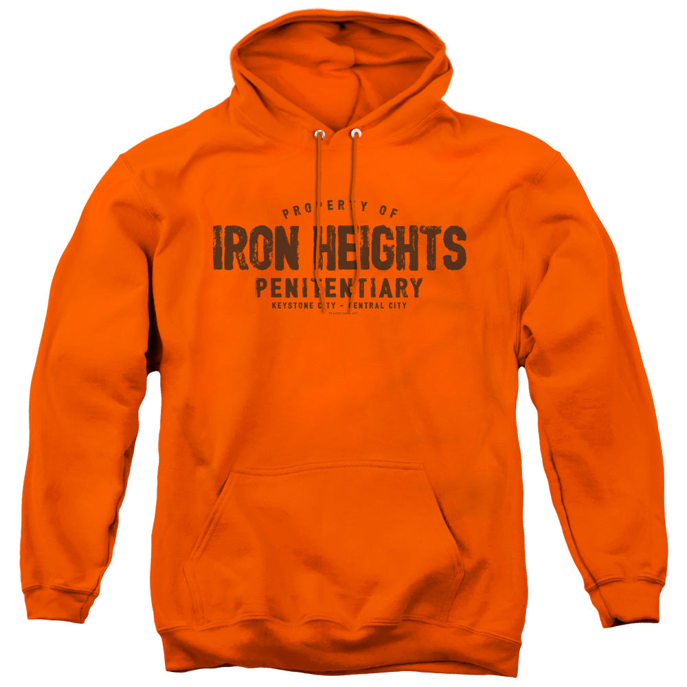 Justice League Iron Heights Mens Hoodie Orange Officially Licensed