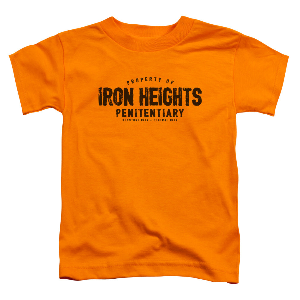Justice League Iron Heights Toddler Kids Youth T Shirt Orange Officially Licensed