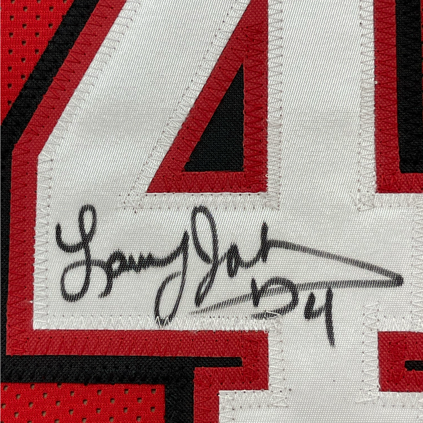Framed Autographed/Signed Larry Johnson 35x39 UNLV Red College Basketball Jersey PSA/DNA COA