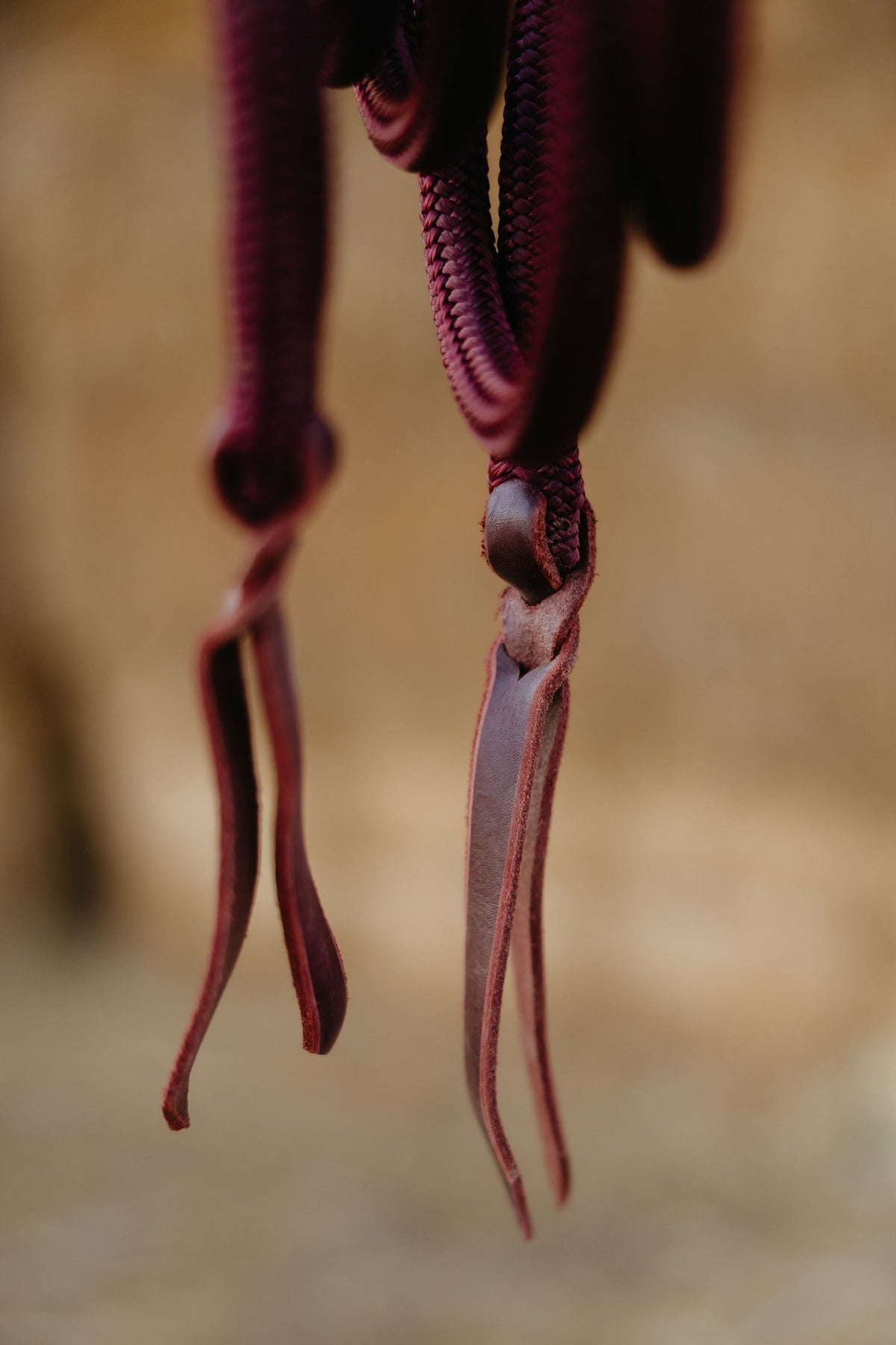 10 Ft Loop Reins