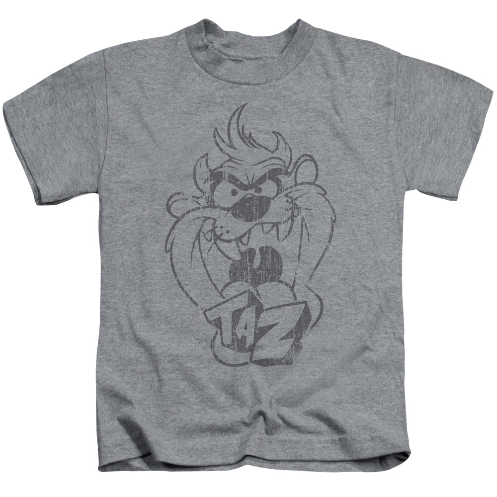 Looney Tunes Faded Taz Juvenile Kids Youth T Shirt Athletic Heather Officially Licensed