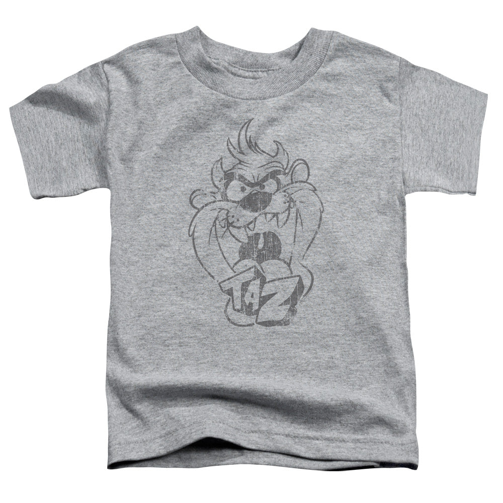 Looney Tunes Faded Taz Toddler Kids Youth T Shirt Athletic Heather Officially Licensed