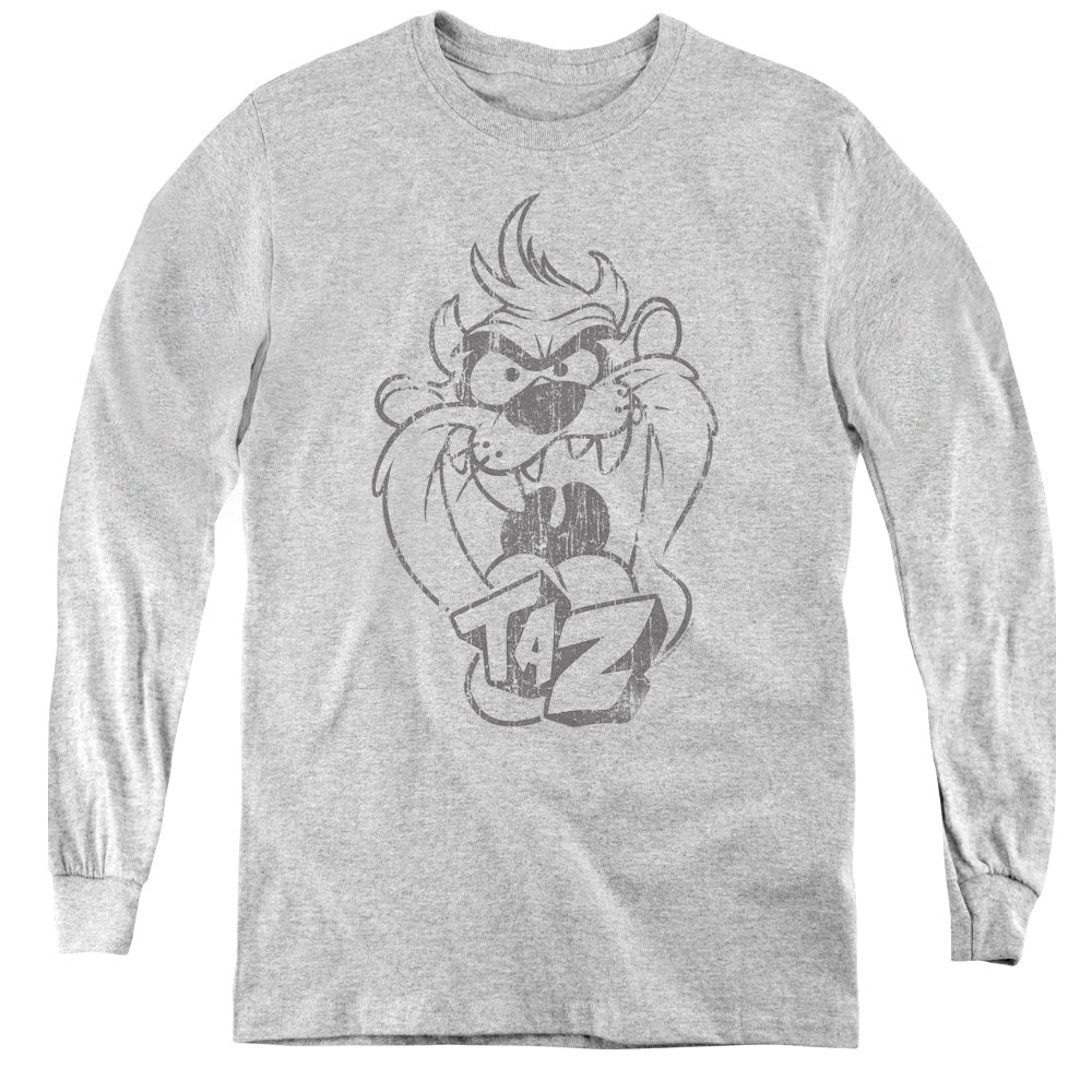 Looney Tunes Faded Taz Long Sleeve Kids Youth T Shirt Athletic Heather Officially Licensed