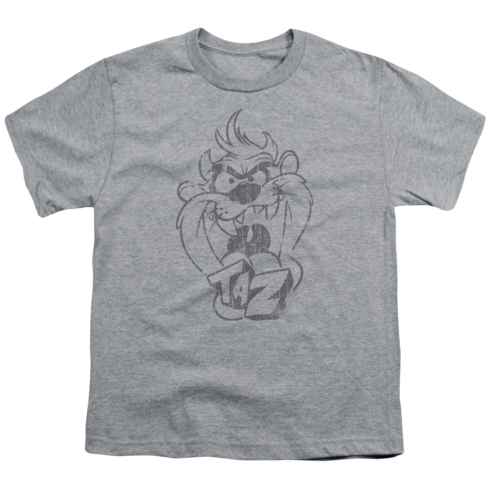 Looney Tunes Faded Taz Kids Youth T Shirt Athletic Heather Officially Licensed