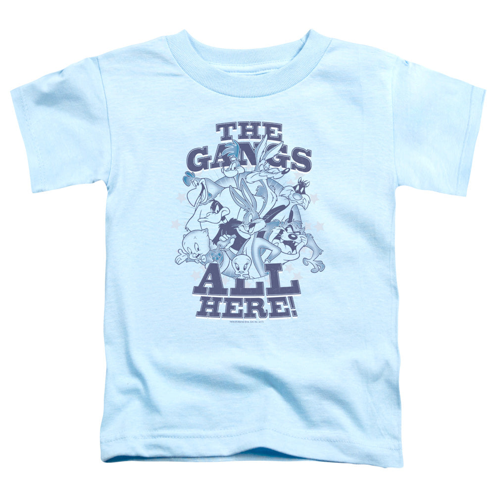 Looney Tunes Blue Gang Toddler Kids Youth T Shirt Light Blue Officially Licensed
