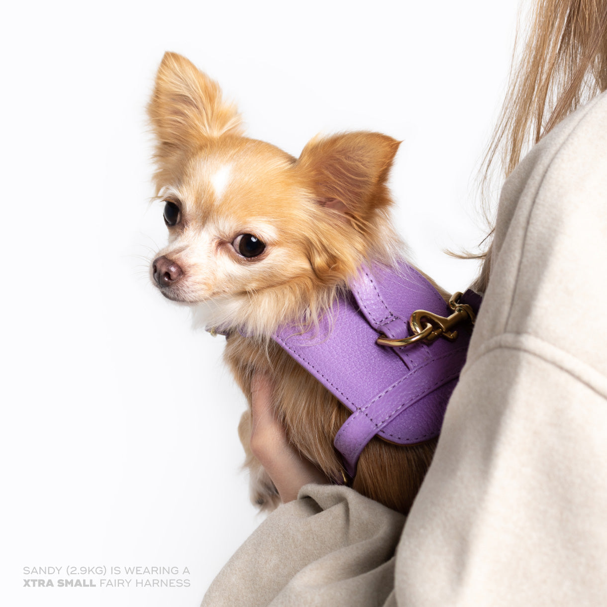 Fairy Heritage Harness