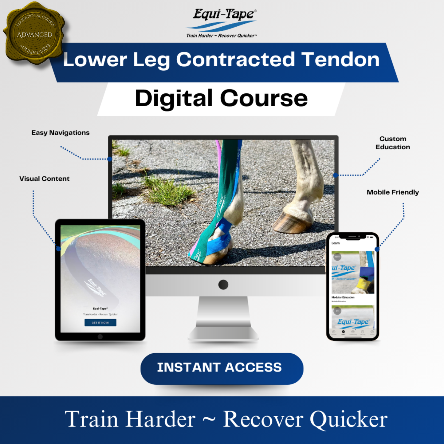 Module: Lower Leg