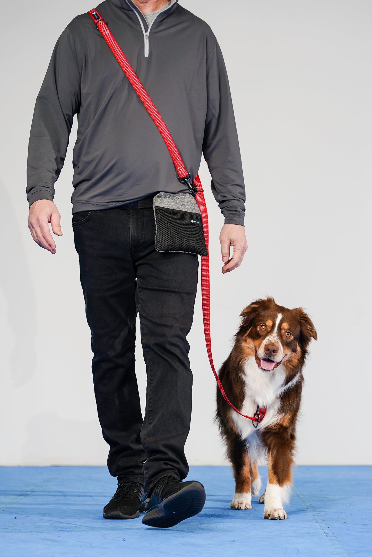 Reflective Multi-Function Leash