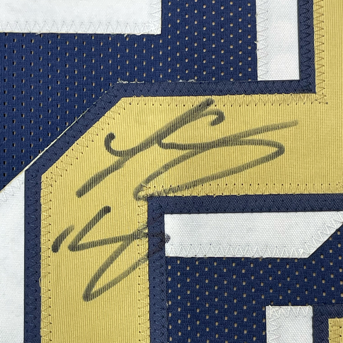 Framed Autographed/Signed LeSean McCoy 35x39 Pittsburgh Blue College Football Jersey JSA COA