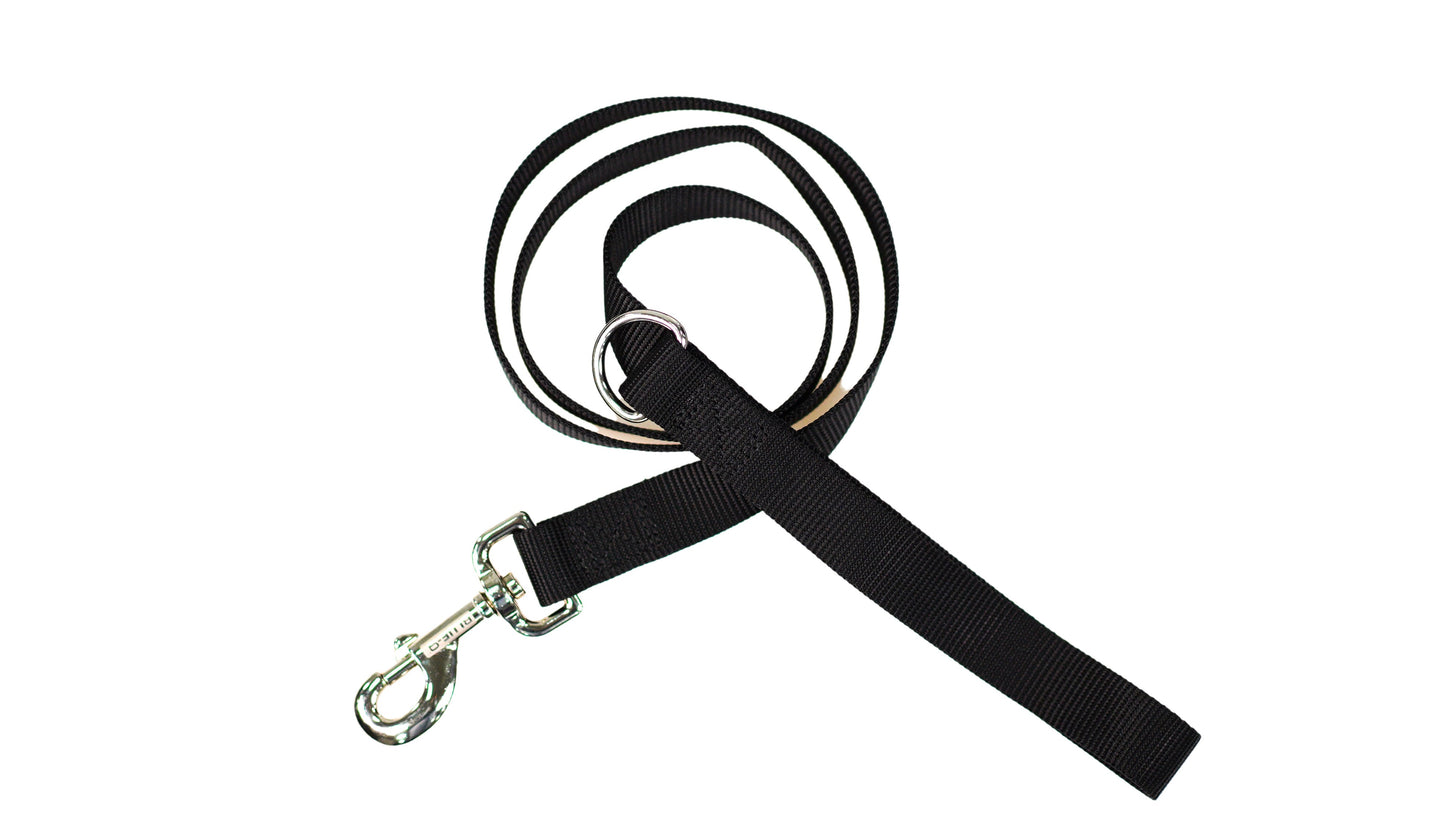 LEAD 4ft Leash