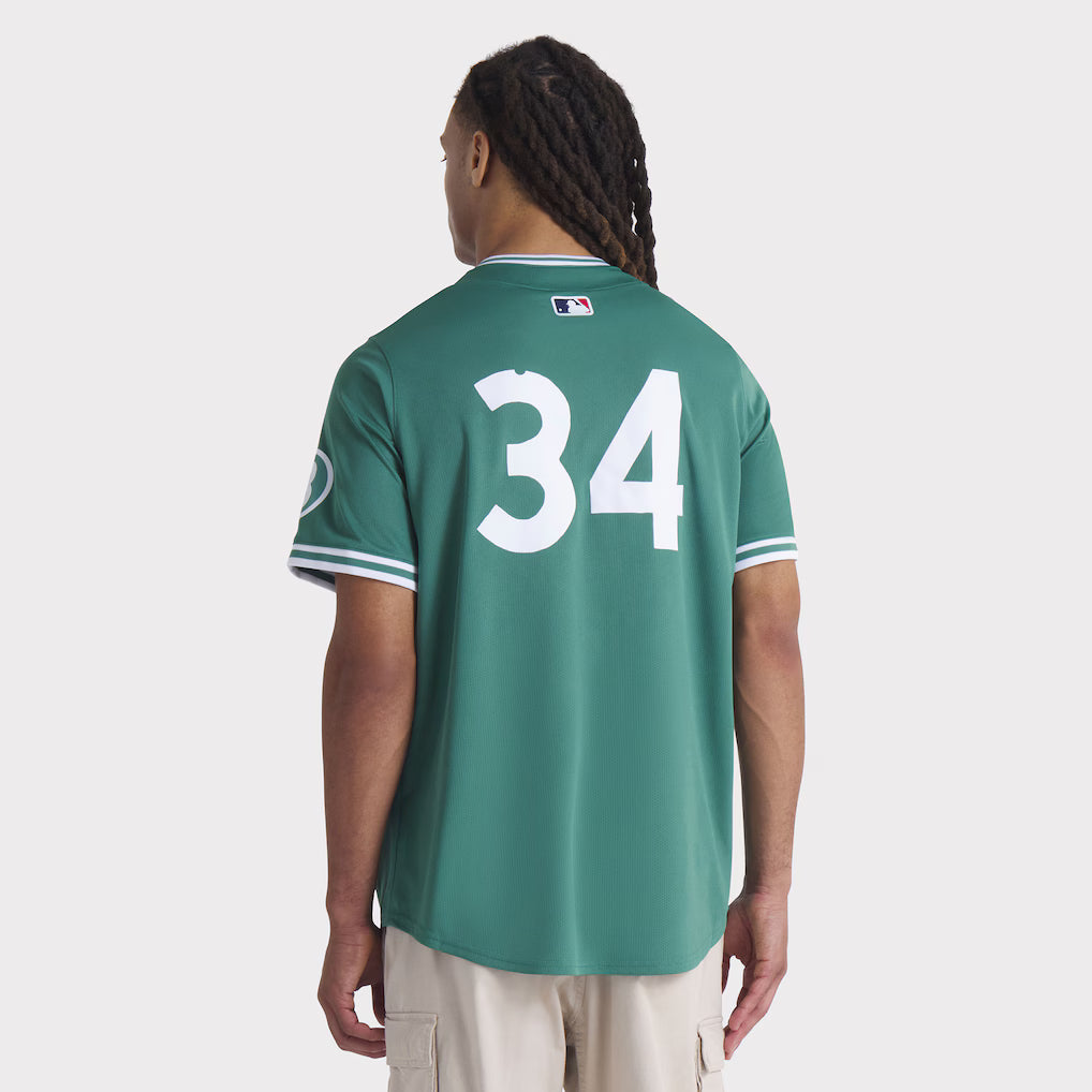 Men’s Boston Red Sox David Ortiz Nike Green 2025 Jersey