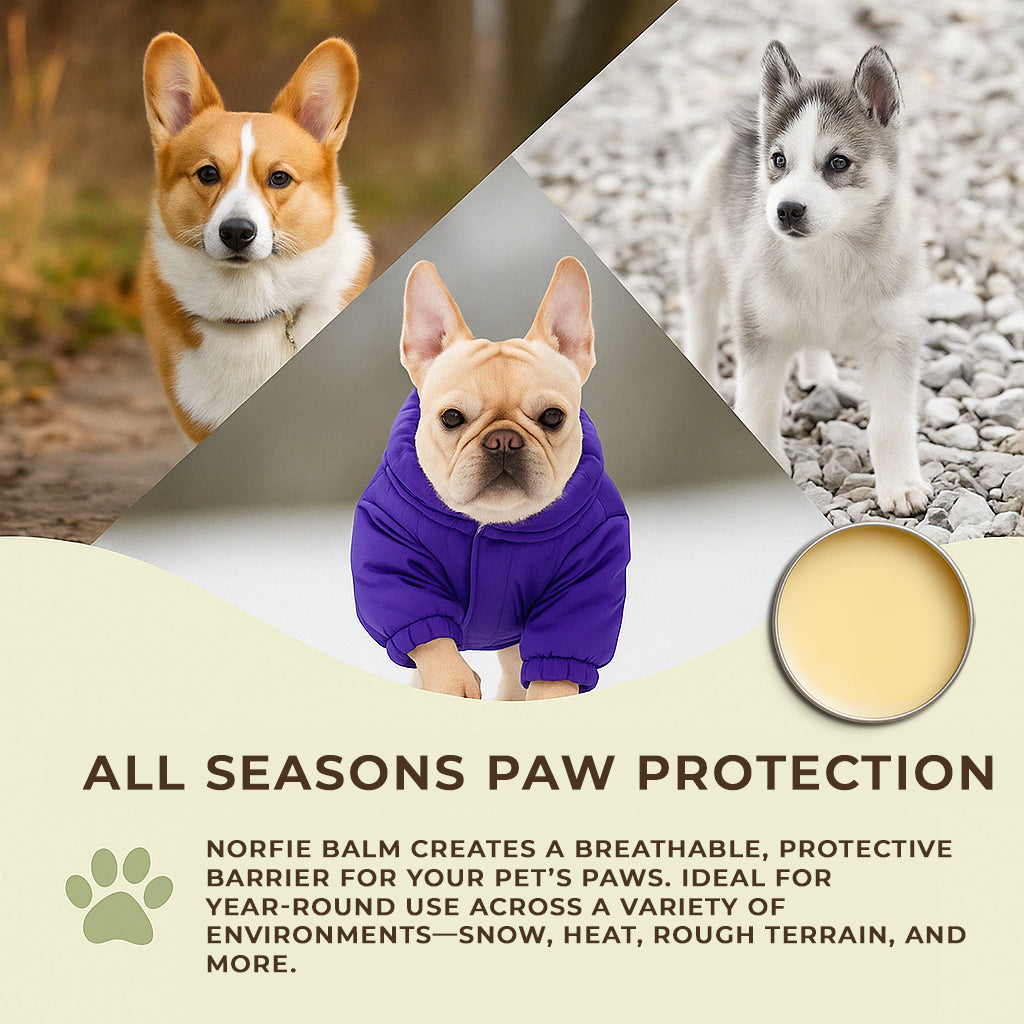 Norfie Repairing Balm – Natural Healing Balm for Paws, Noses & Elbows