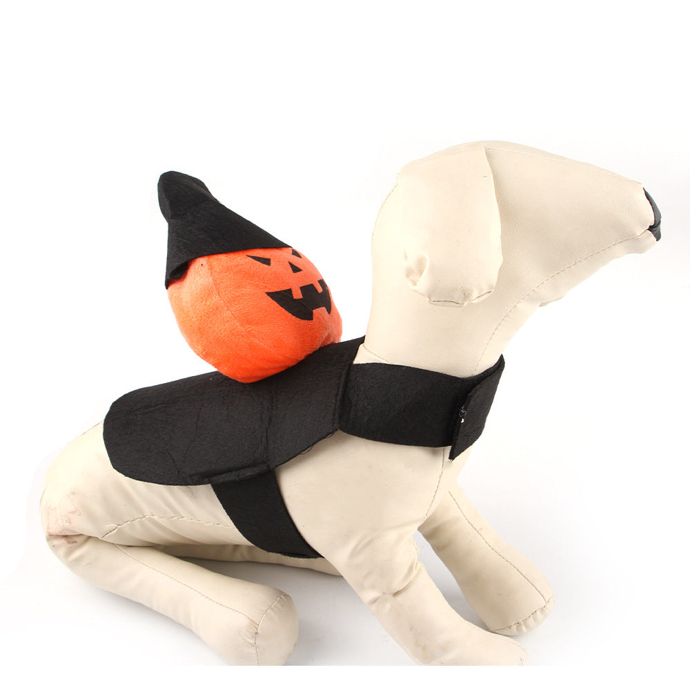 Dog Pumpkin Rider Costume