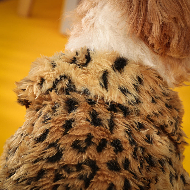 Dog coat leopard fur