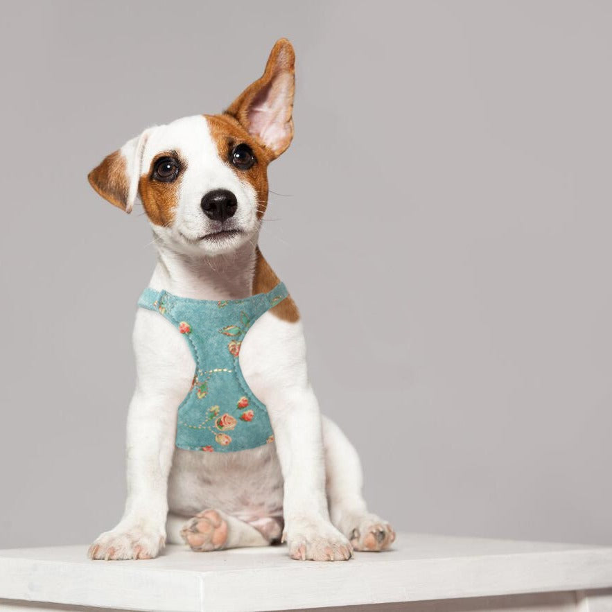 Vintage Floral Dog Harness & Leash Set – Soft Lightweight & Stylish