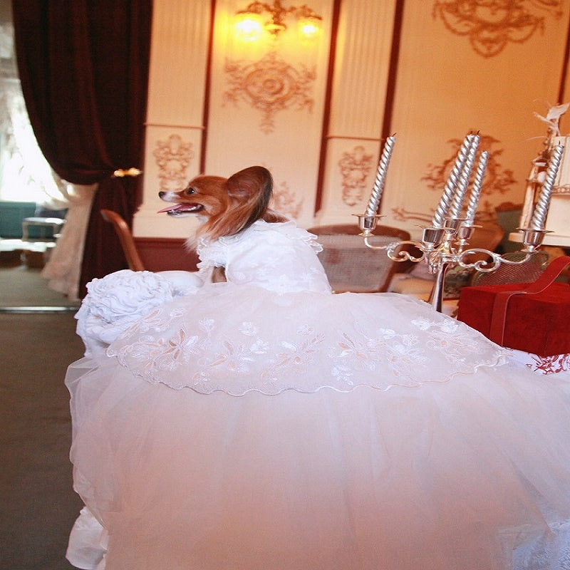 Handmade Ivory Angel Bridal Dog Dress – Luxury Long Train Wedding Gown for Dogs