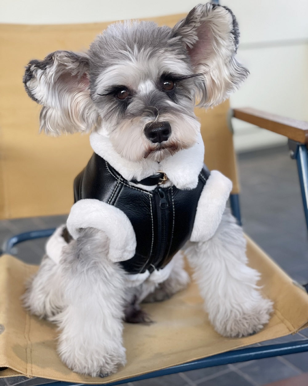 Furry Biker Dog Jacket