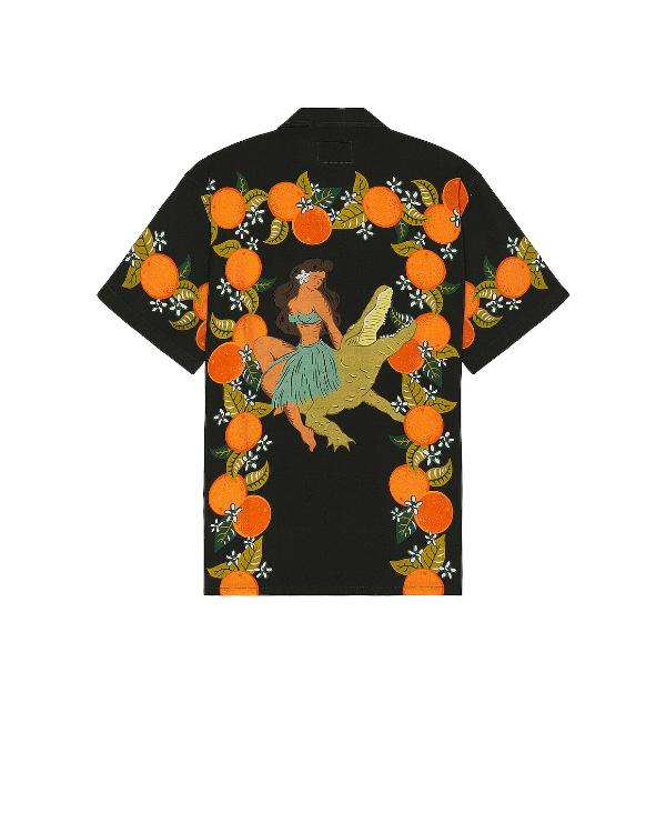 Perfect Match S03 Clayton Echard Oranges Tropical Shirt