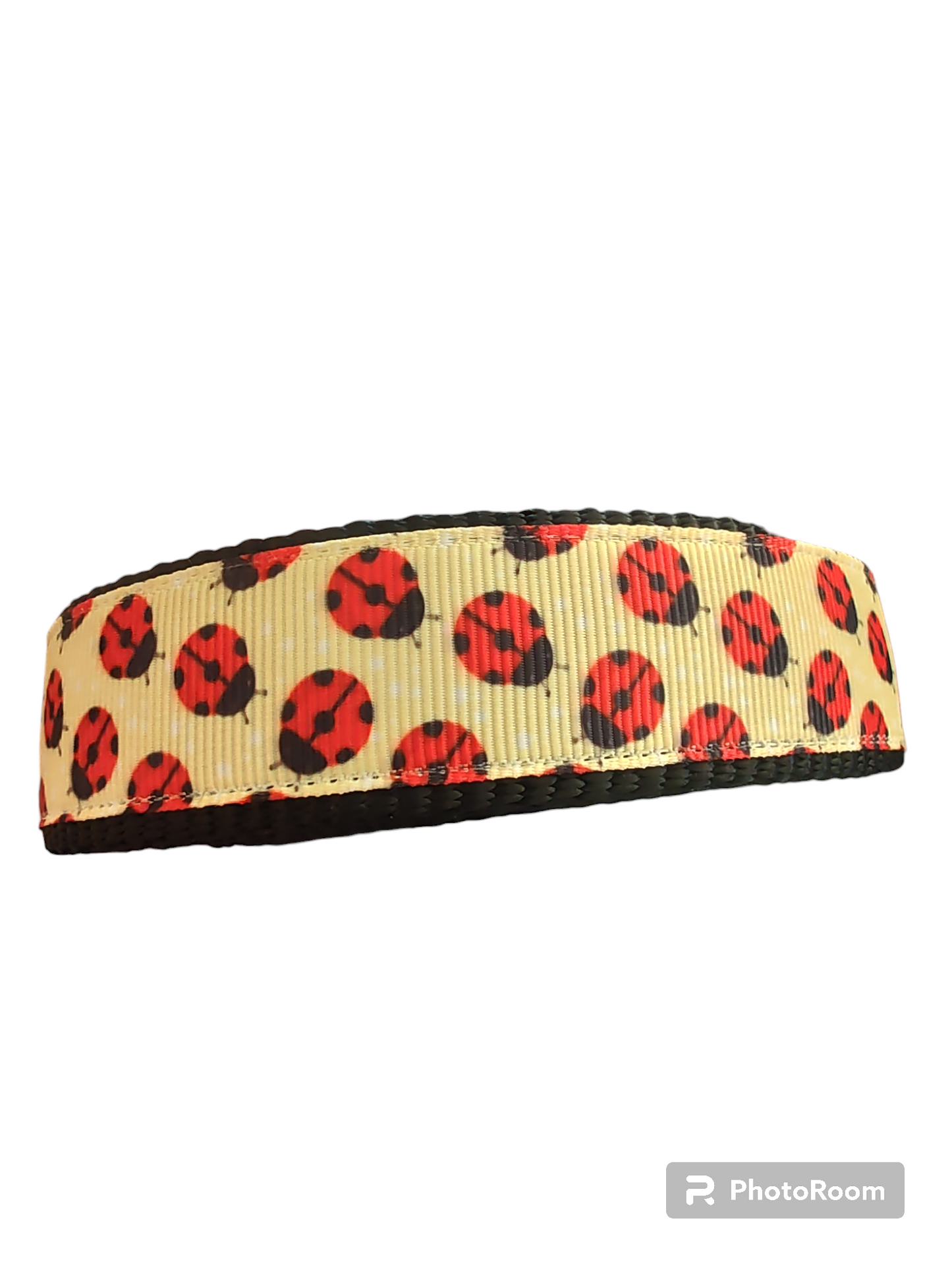 Yellow Ladybugs Black Nylon Dog Collar MD, LG, XL, Leash