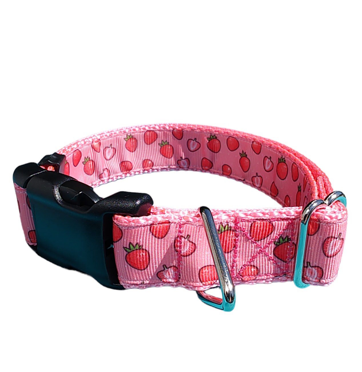 Strawberry Slice Pink Nylon Dog Collar MD, LG, XL, Leash
