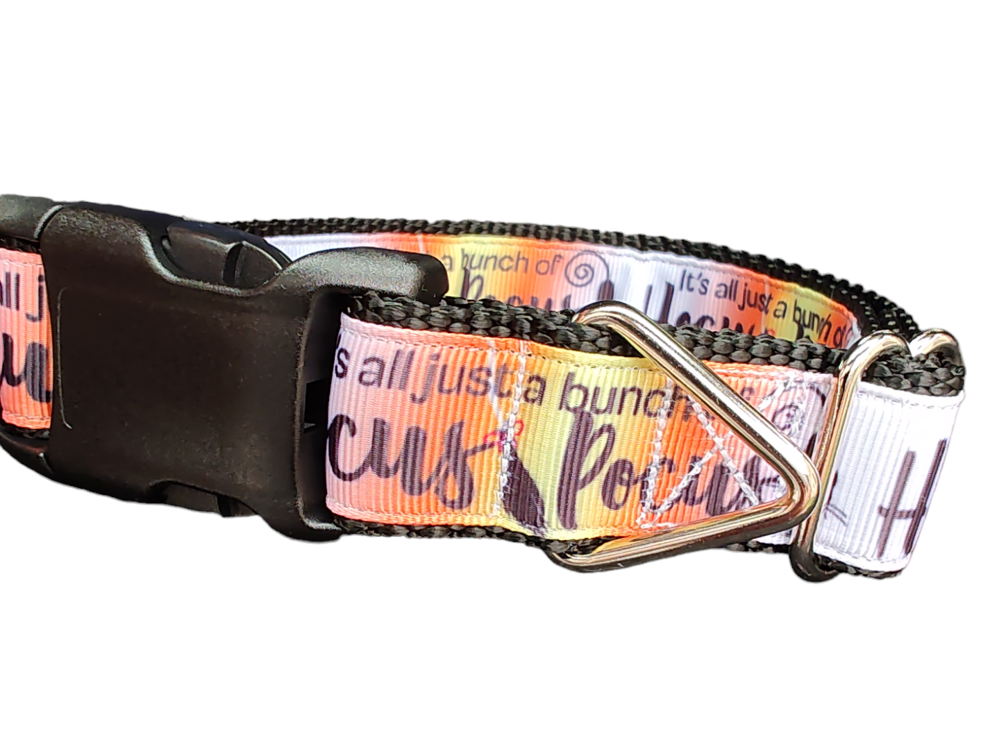 Halloween Hocus Pocus Nylon Dog Collar