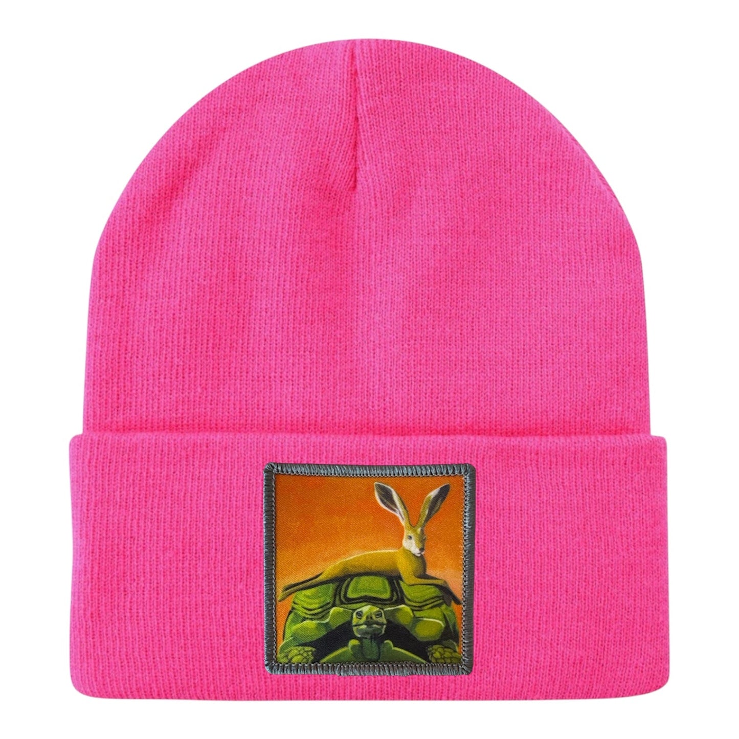 The Tortoise By a Hare Beanie