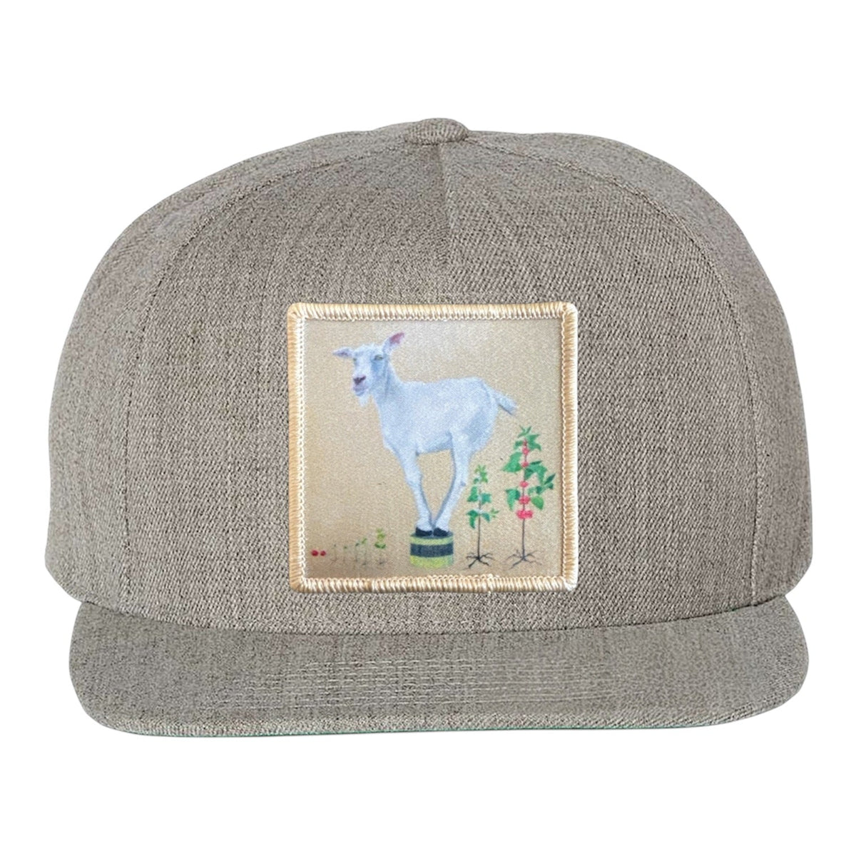Heather Grey Snapback