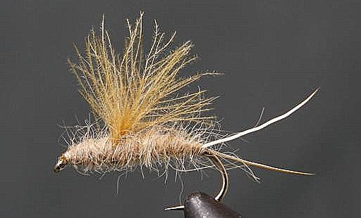 RS2 Emergers