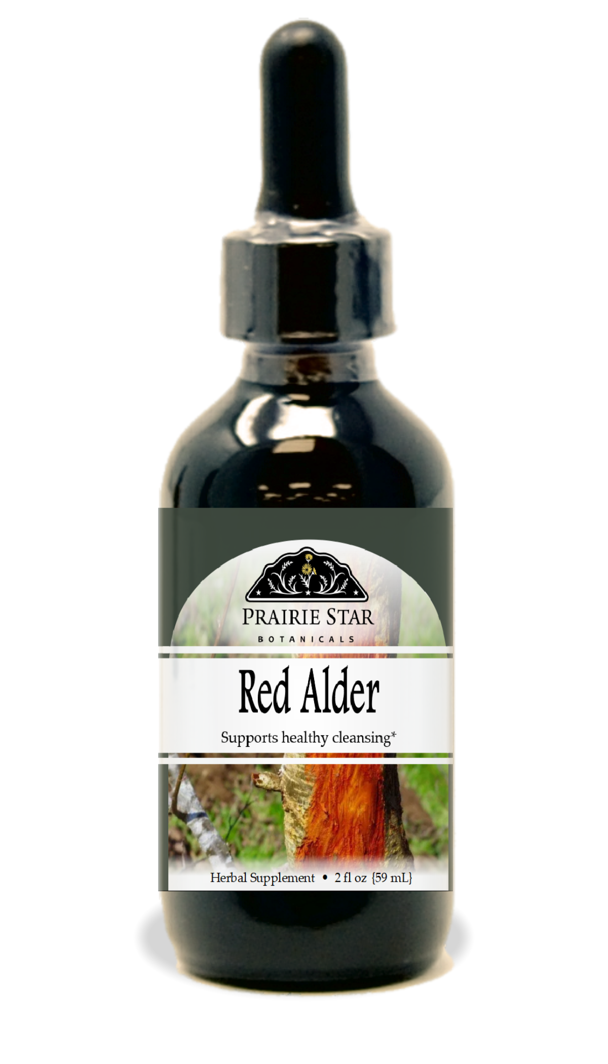 Red Alder