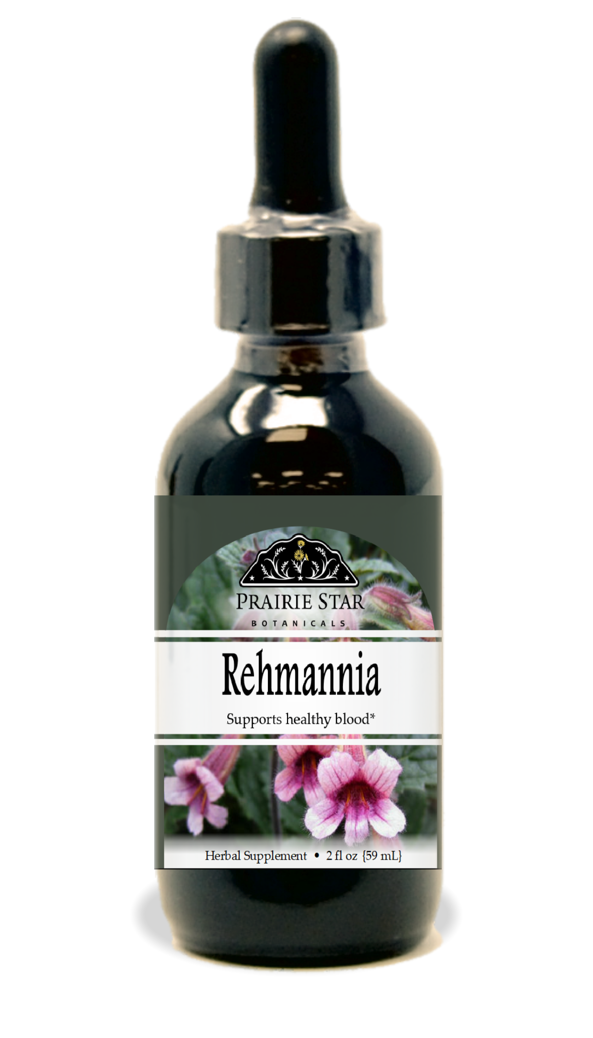 Rehmannia