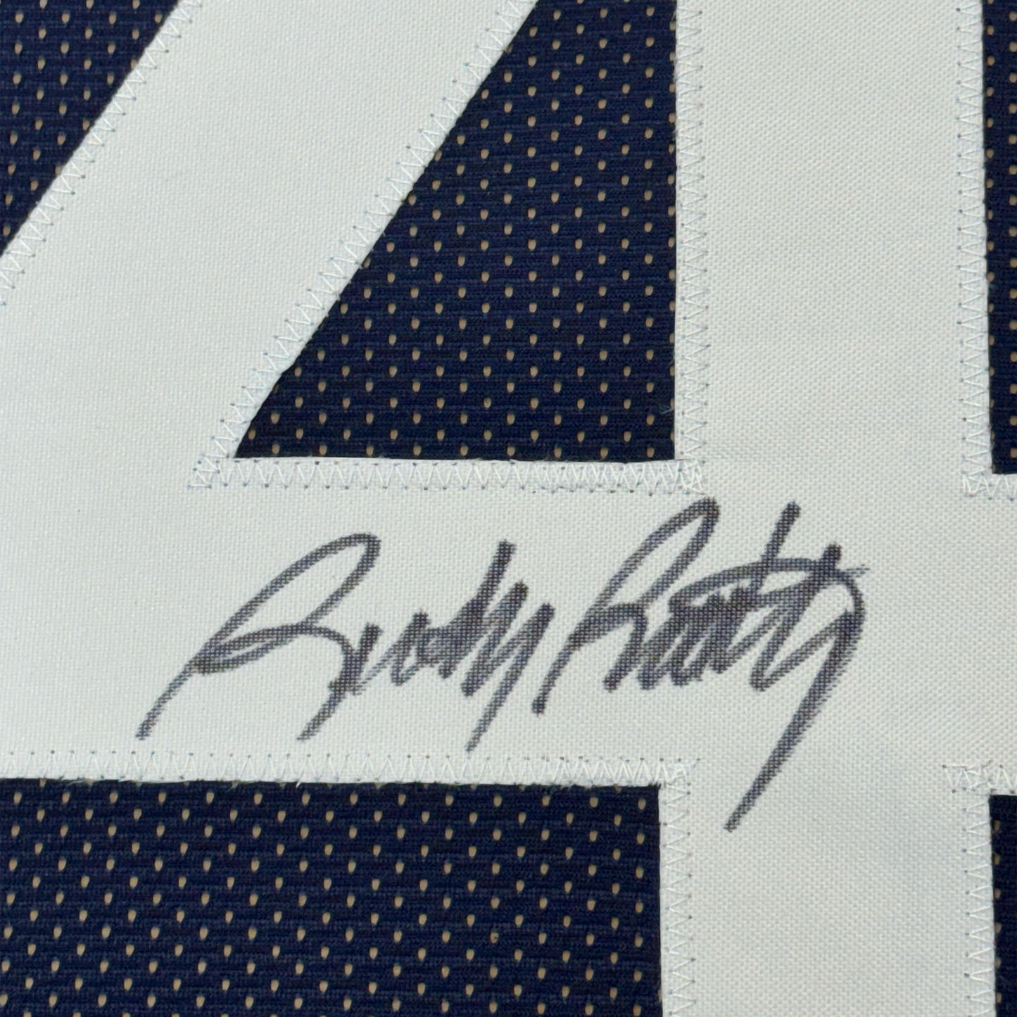 Framed Autographed/Signed Rudy Ruettiger 35x39 Notre Dame Blue Rudy College Football Jersey JSA COA