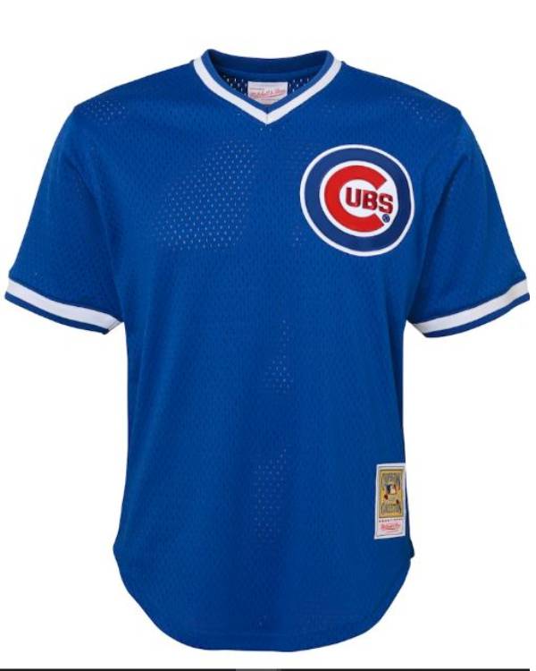Ryne Sandberg Jersey