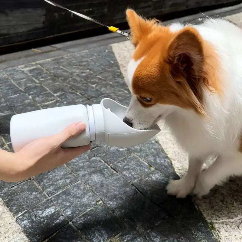 550ml Folding Pet Water Bottle - Portable Travel Mug for Dogs & Cats