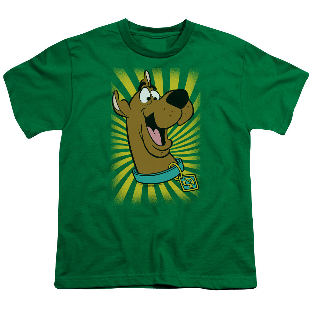 Scooby Doo™ T Shirt Kids Youth T Shirt Kelly Green Officially Licensed